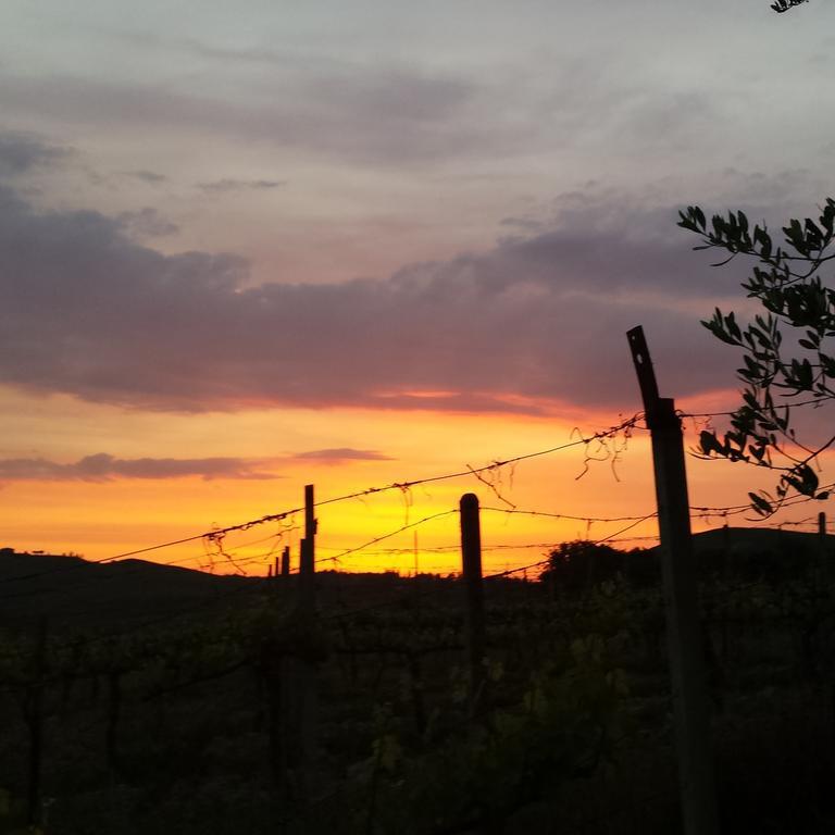 Agriturismo Il Cocco Montalcino Exterior photo