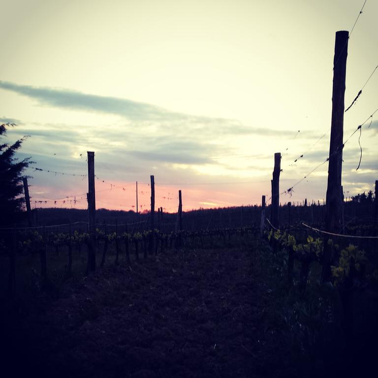Agriturismo Il Cocco Montalcino Exterior photo
