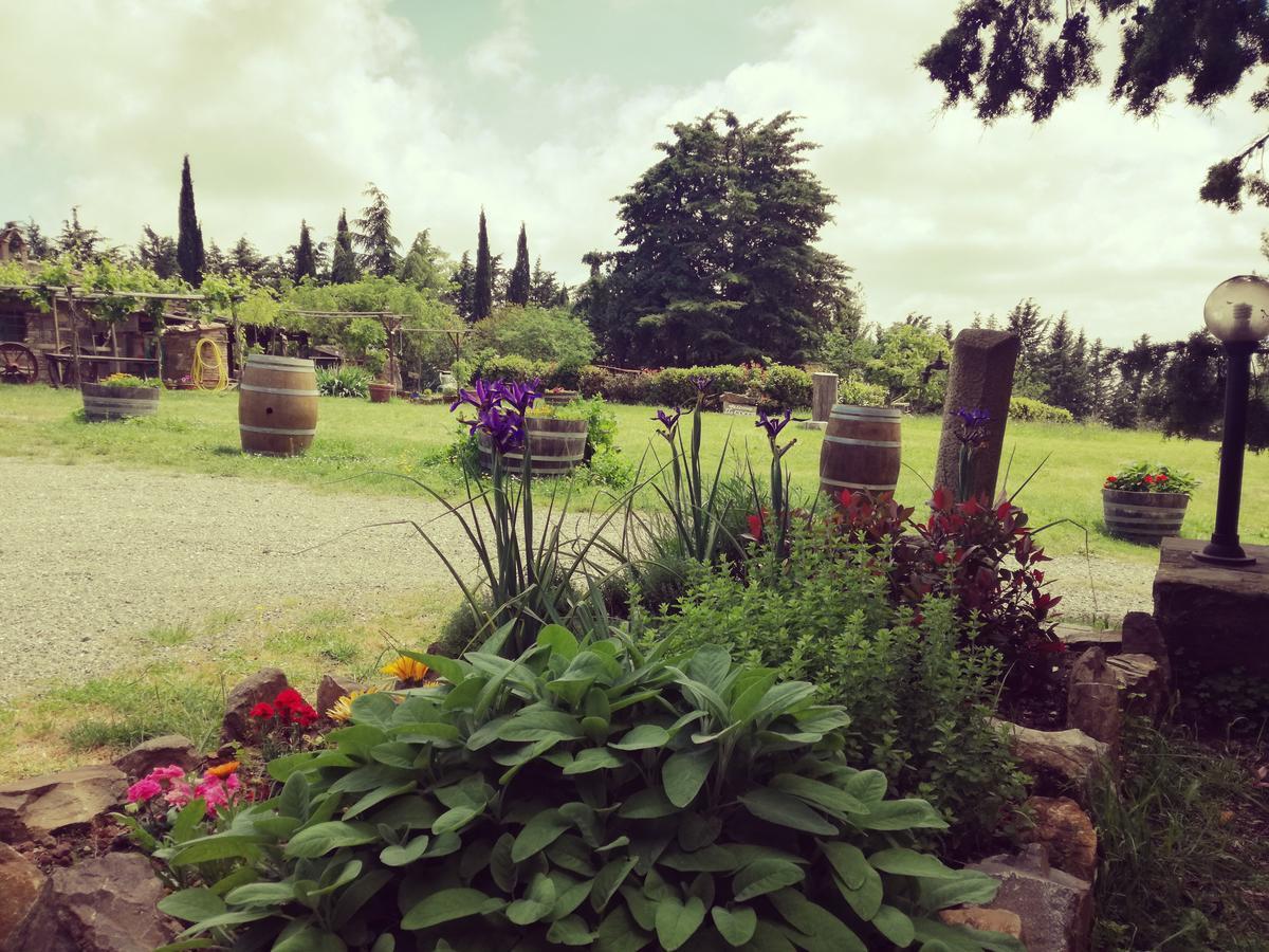 Agriturismo Il Cocco Montalcino Exterior photo